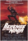 Revenge Of The Ninja